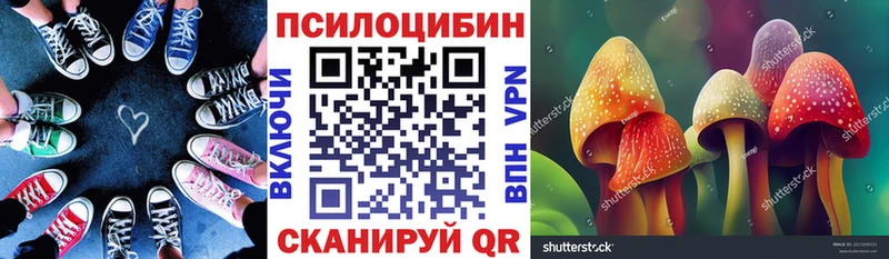 Галлюциногенные грибы MAGIC MUSHROOMS  Купить закладки  Николаевск-на-Амуре 